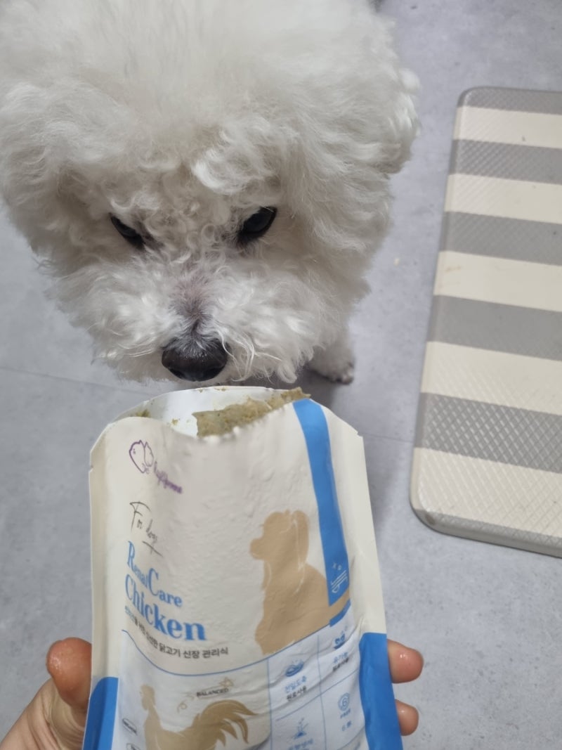 강아지 사료 신장처방식 레이앤이본 닭고기 화식 중단백  DMB수치