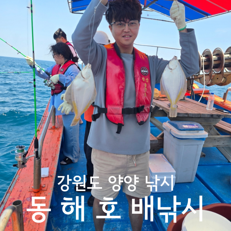  강원도 양양 낚시 가자미 배낚시 추천 동해호 후기