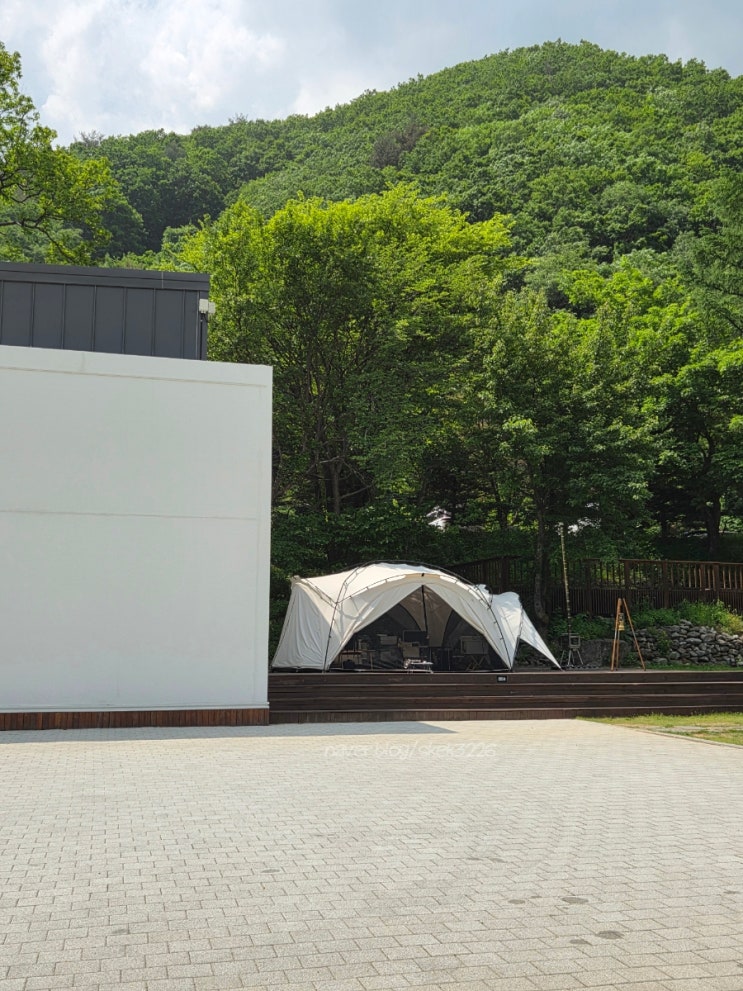 강원도 애견 동반 캠핑장 휘게 포레스트, 사이트 및 명당 정보