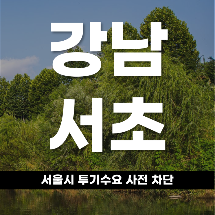  강남, 서초 녹지에 칼 들었다 서울시 투기수요 사전차단