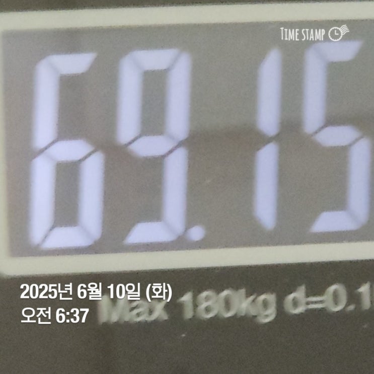  위고비 51일째 (위고비 정체기)