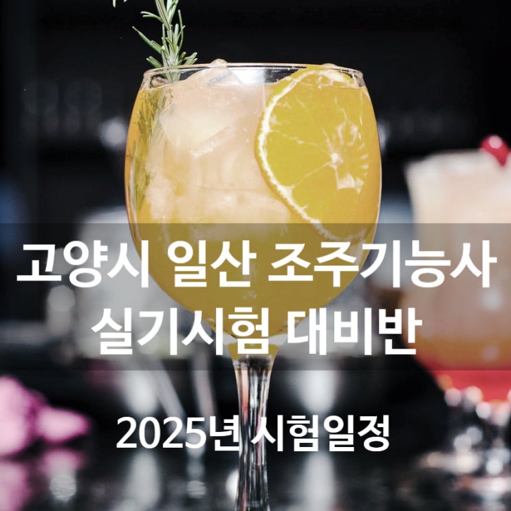  2025년 조주기능사 시험일정 고양시 일산 실기시험대비반 과정 칵테일40가지