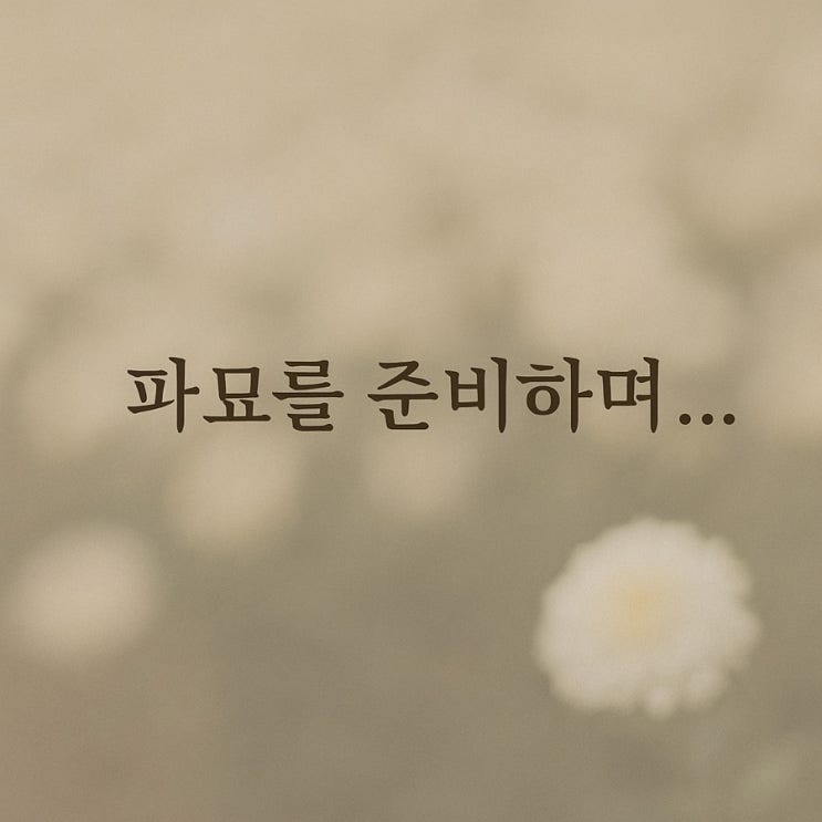  부산,경남,경북 윤달 묘지개장