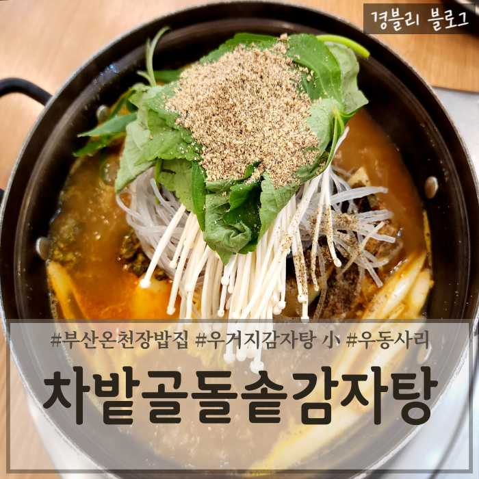  부산 온천장 감자탕맛집 온천장해장국추천 온천장밥집 '차밭골돌솥감자탕'