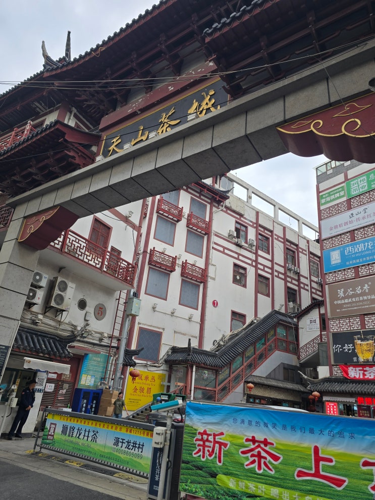  상하이 여행 코스 추천 천산차성 동남래차 재방문 보이차 시음 후기