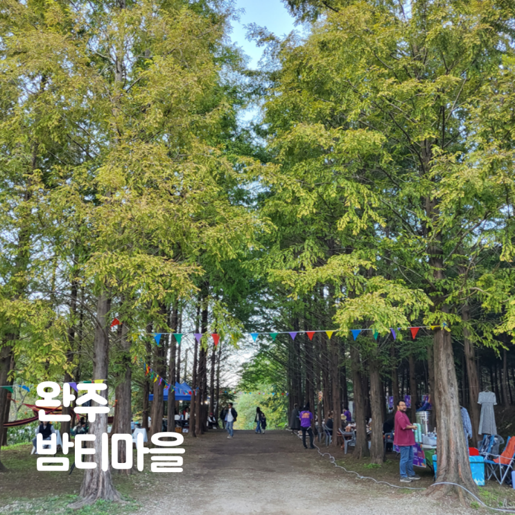  전주근교 피크닉 밤티마을 완주 동상면 포레스트 캠핑축제