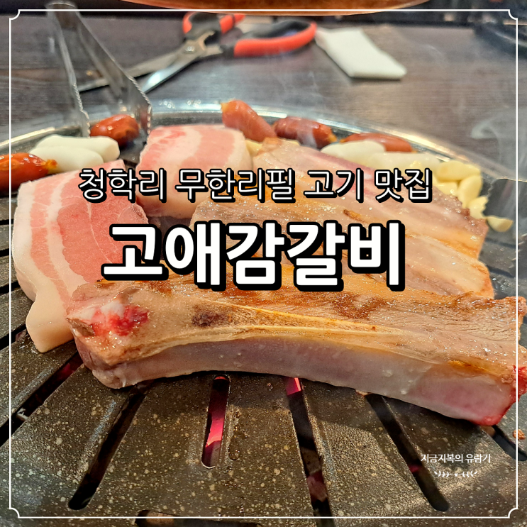  내돈내산 남양주 고기 무한리필 맛집 추천 고애감갈비(아기의자O)