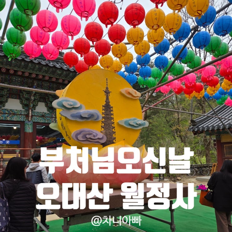  부처님 오신 날 오대산 월정사 방문 후기