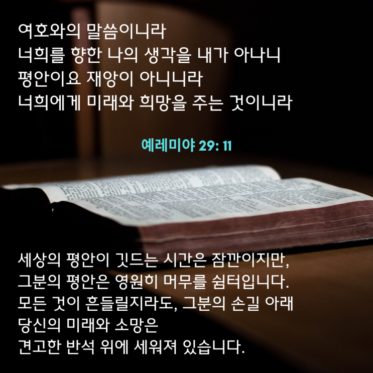  소망의 씨앗과 평안의 약속