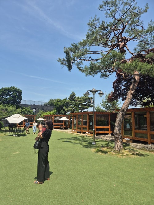 연휴 안녕~ 6월 첫주 기록하기