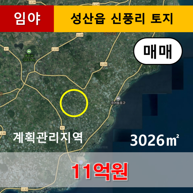  《제주도토지》 서귀포시 성산읍 신풍리 2차선 임야 매매