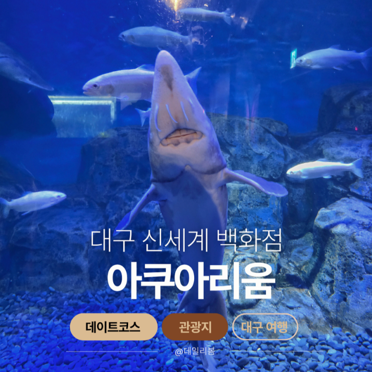  대구 아쿠아리움 아이랑가볼곳 솔직 방문 후기