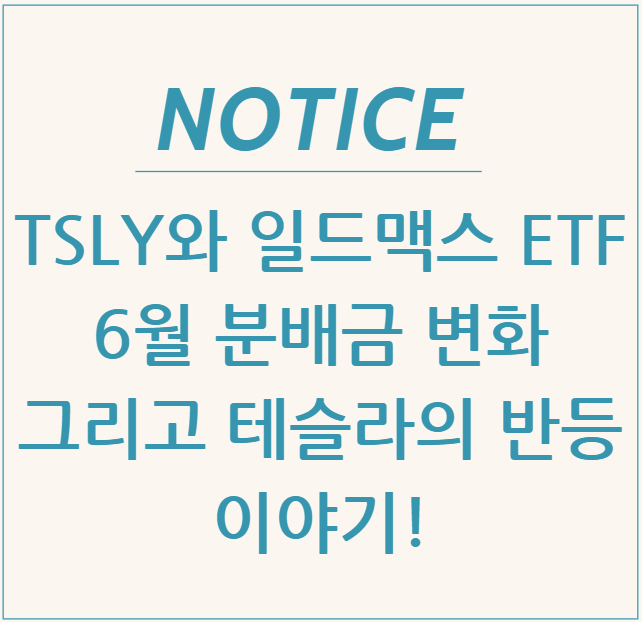  TSLY와 일드맥스 ETF 6월 분배금 변화, 그리고 테슬라의 반등 이야기!