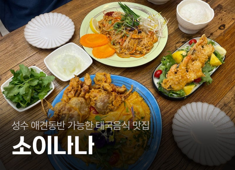 나나애견