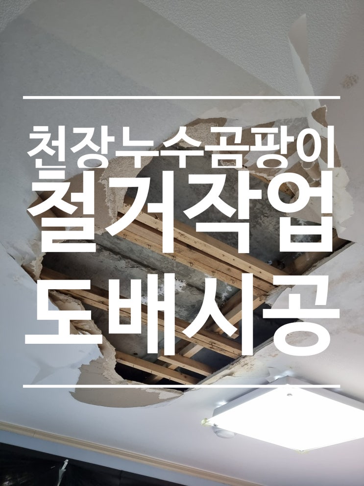  윗집 누수 곰팡이 천장 철거하고 도배시공