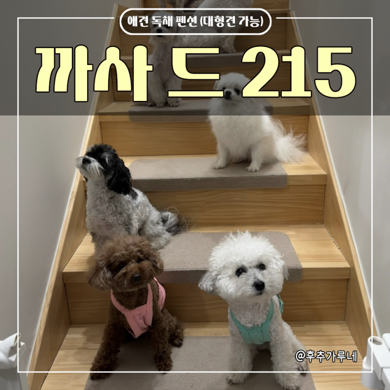 사진 6