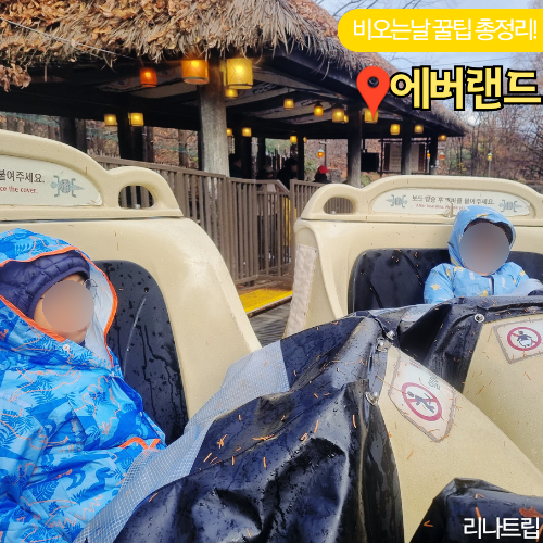  에버랜드 비오는날 사파리 아마존 자유이용권 할인카드 2025 여름축제 소개