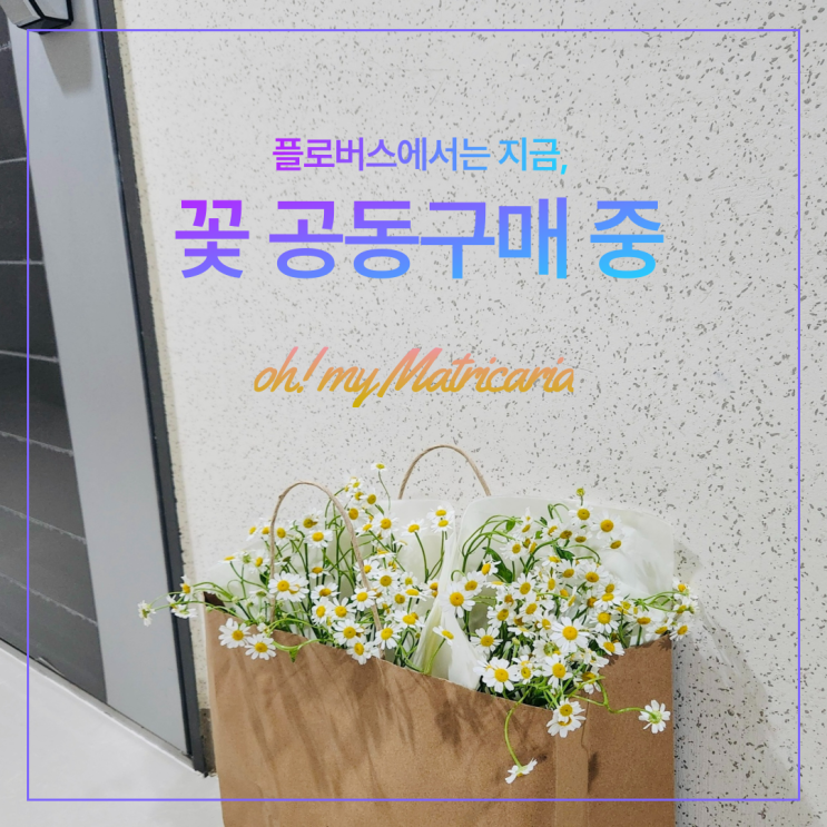  생화픽업, 생화배송: 플로버스앱으로 일상꽃 꽃배송 누려요!