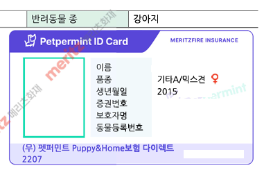 메리츠화재 펫퍼민트 다이렉트 보험 해지 방법