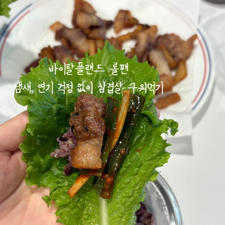  바이탈플랜트 롤팬 집에서 냄새 걱정 없이 삼겹살 구워먹기 내돈내산