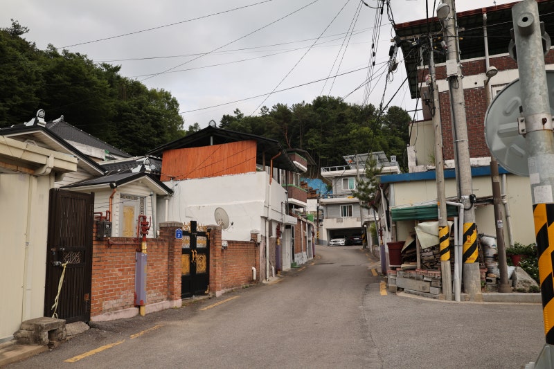사진 7