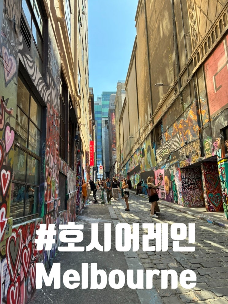  멜버른 호시어레인 가는법부터 포토존까지, 그래피티 골목 완전정복
