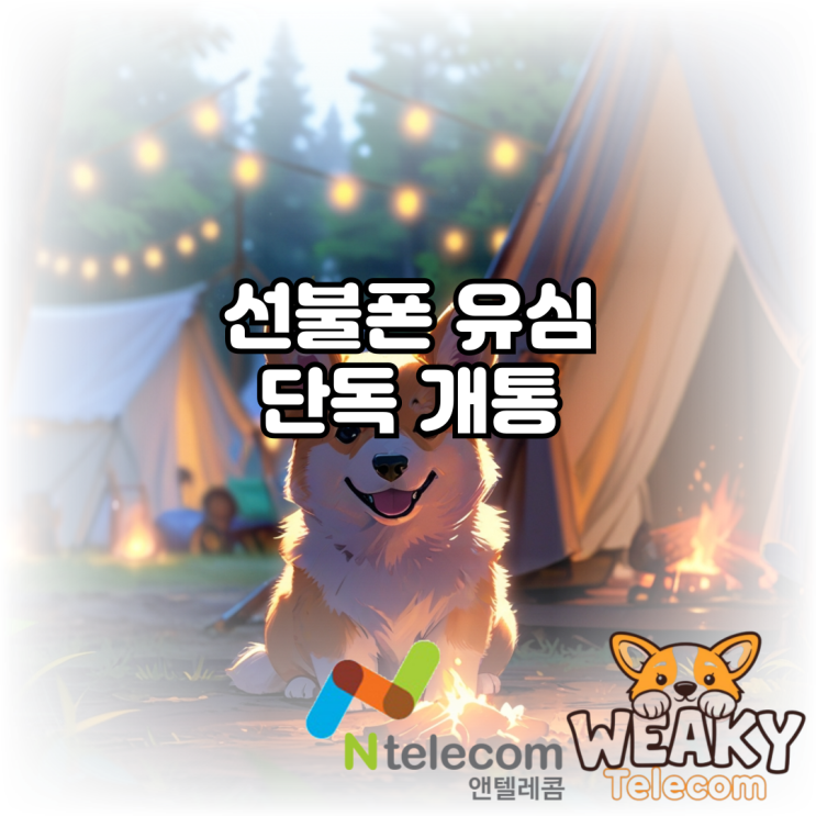  선불폰 유심 단독 개통 방법을 알고 싶다면?