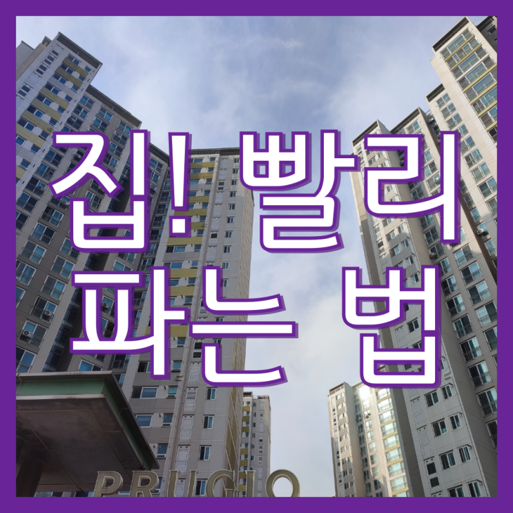  인천 아파트 유리창 이중창 청소 범위와 업체 후기(부개역푸르지오)