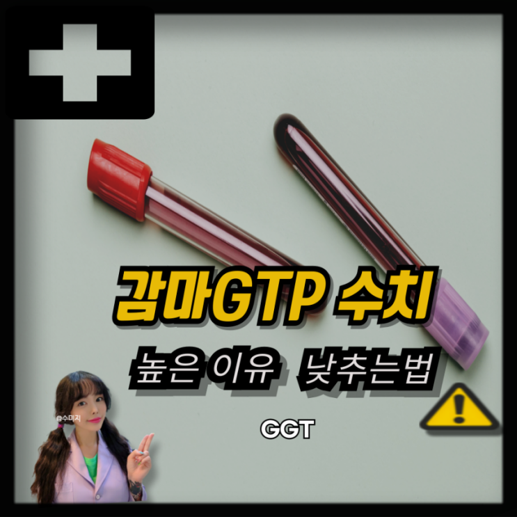  감마지티피 수치 60 80 400 높은 이유, 정상 간수치 범위