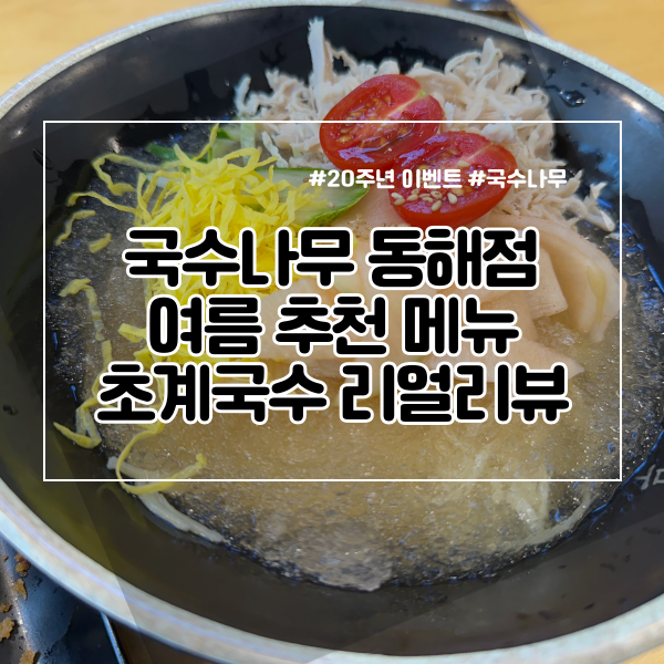  동해 맛집 국수나무 동해점 여름 추천 메뉴 초계국수 리얼리뷰
