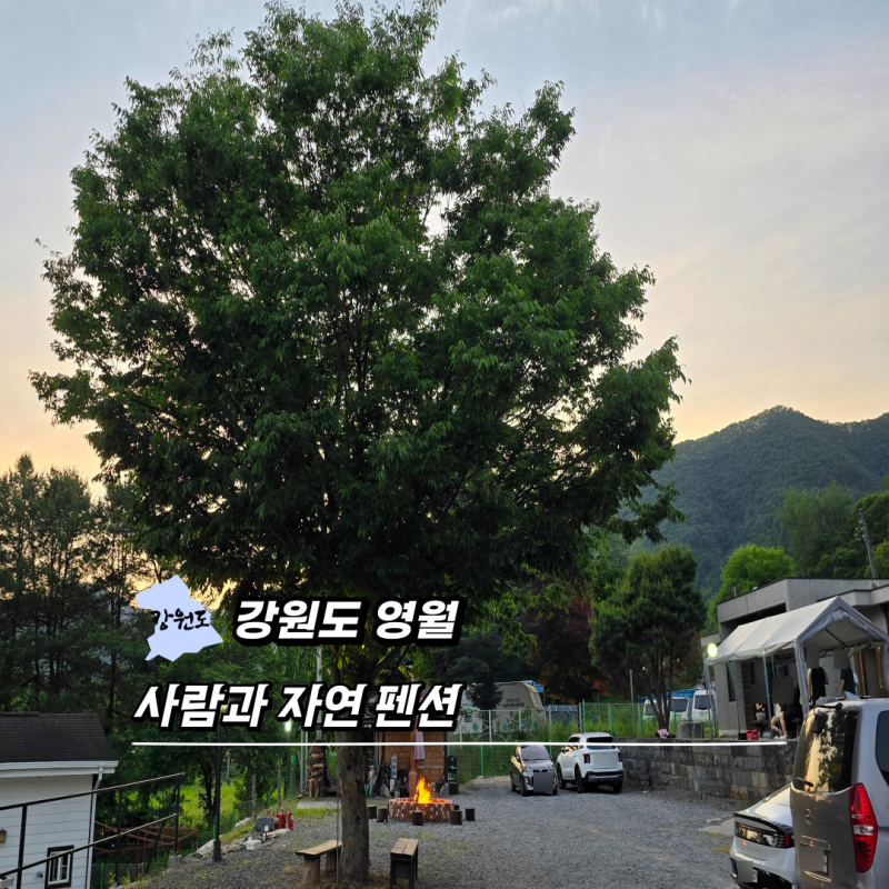 사진 5