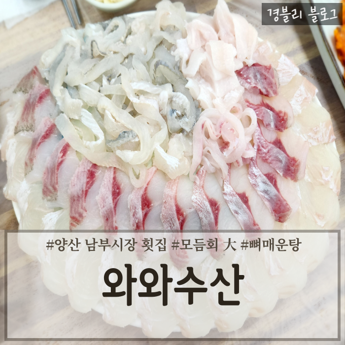  양산남부시장횟집 아나고회맛집 양산포장회추천 '와와수산'