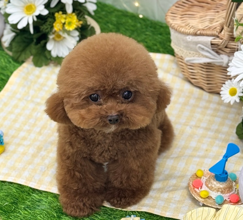 사진 4