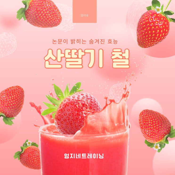  산딸기 철 논문이 밝히는 숨겨진 효능