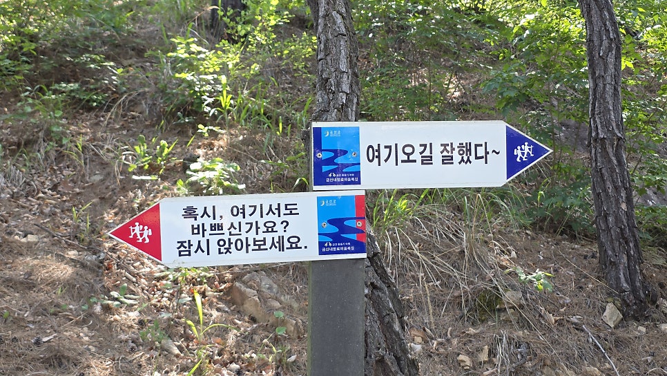 필리아가든 사진 4