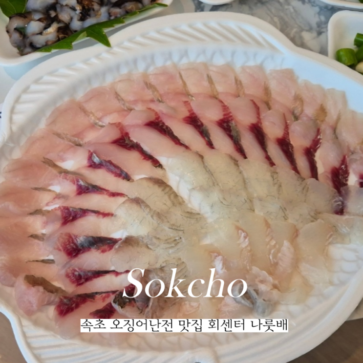  속초 회센터 나룻배 오징어난전 맛집 추천