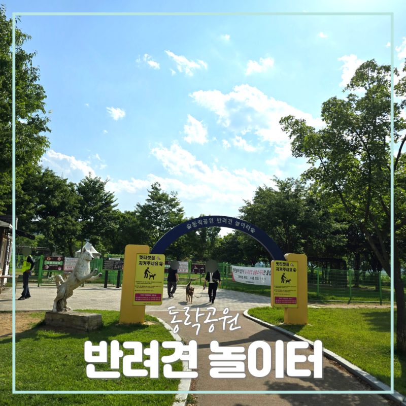 사진 6