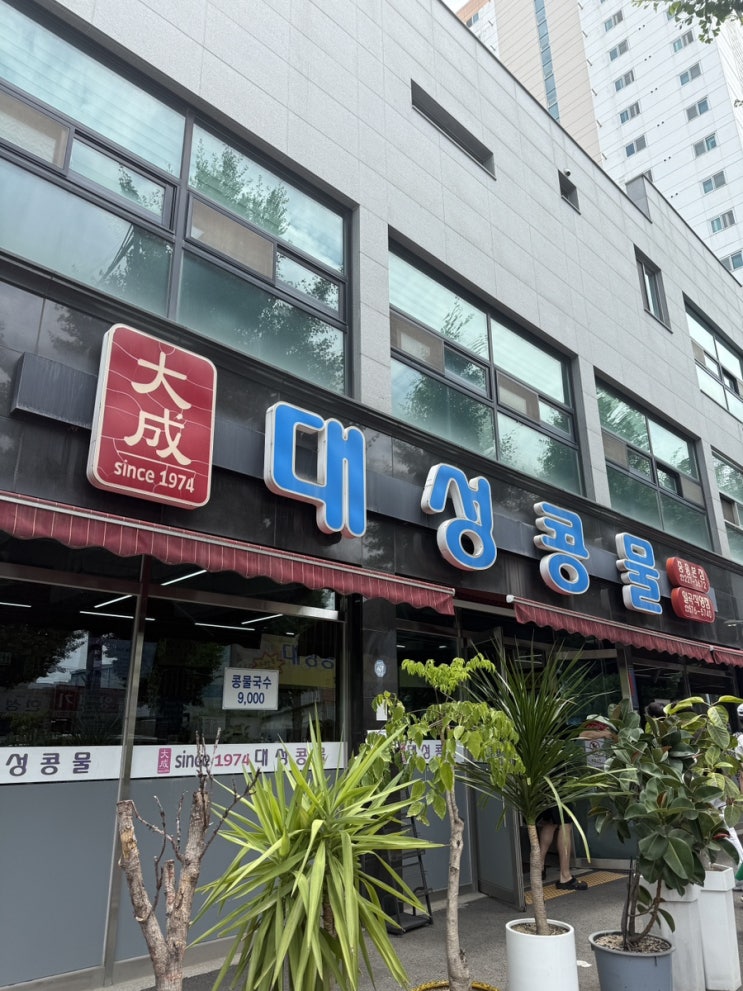  광주 콩물맛집 대성콩물 내돈내산