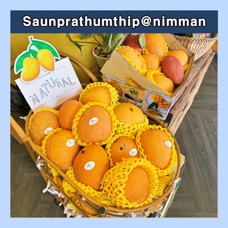  [치앙마이] 망고스무디, 망고 젤리, 망고의 모든 것을 맛볼 수 있는 카페 'Saunprathumthip@nimman'
