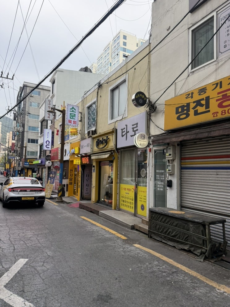  부산 서면타로잘보는곳 손금 애정운 궁합 추천 : 타로요정