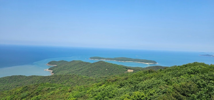  건강한 여름을 위한 멜라루카 6월 프로모션