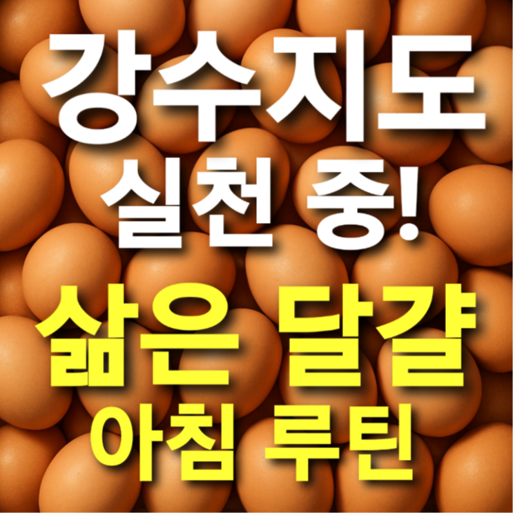  강수지도 실천 중! 삶은 달걀 아침 루틴