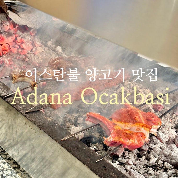  이스탄불 양고기 찐 맛집 오작바시Adana Ocakbasi 현지인 핫플