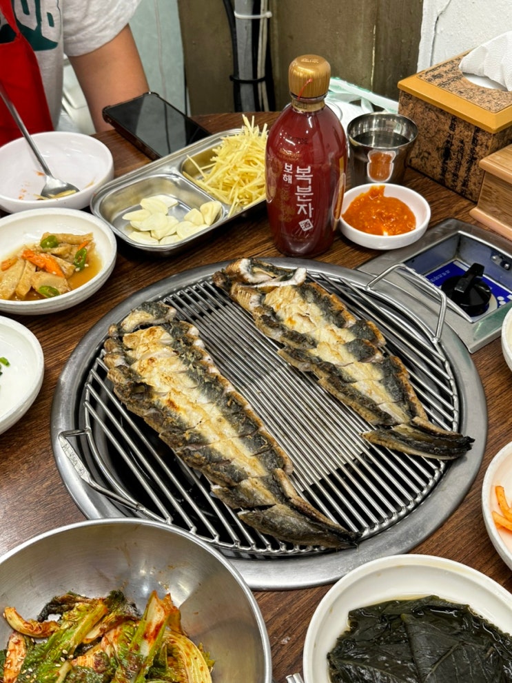  종로 장어맛집 삼대풍천민물장어 구워주는 찐맛집 (종로3가 야장 옆)