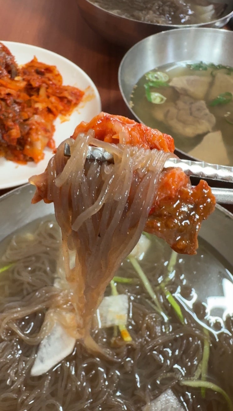  대전 맛집 올여름은 한마음 냉면으로 시원하게 보내기