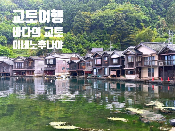  교토여행 이네후나야 가는 법 렌트카 vs 대중교통 vs 투어 완벽 비교