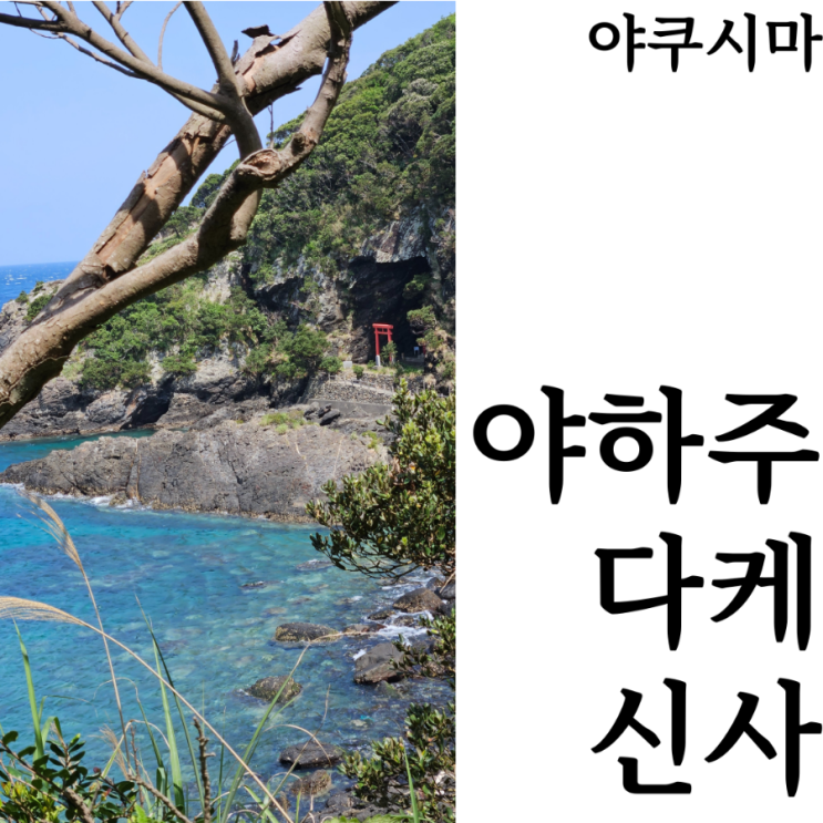  [웰니스여행/야쿠시마]야하주다케신사 야쿠시마 추천코스 가볼만한 곳 관광지