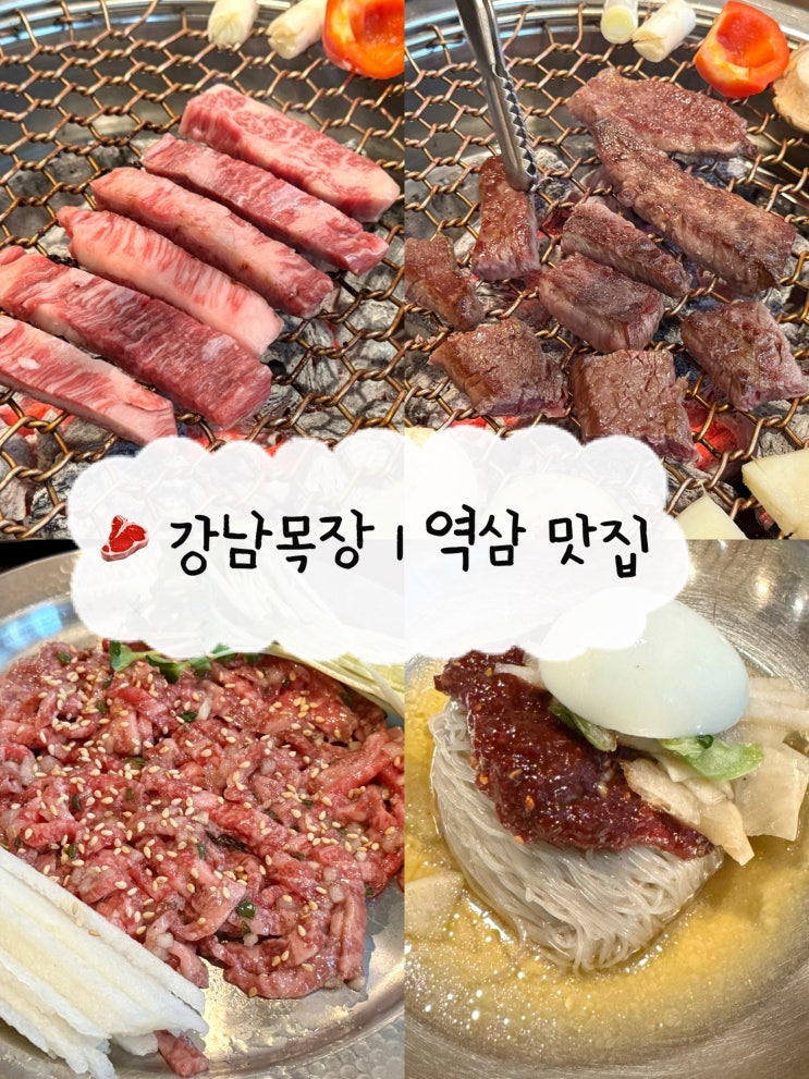  [역삼 맛집] 강남목장 | 역삼역 한우 회식 소고기 업진살 후기