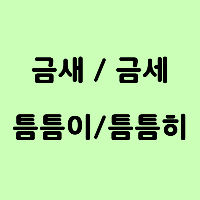  금새, 금세, 틈틈이, 틈틈히 맞춤법 확인하세요~