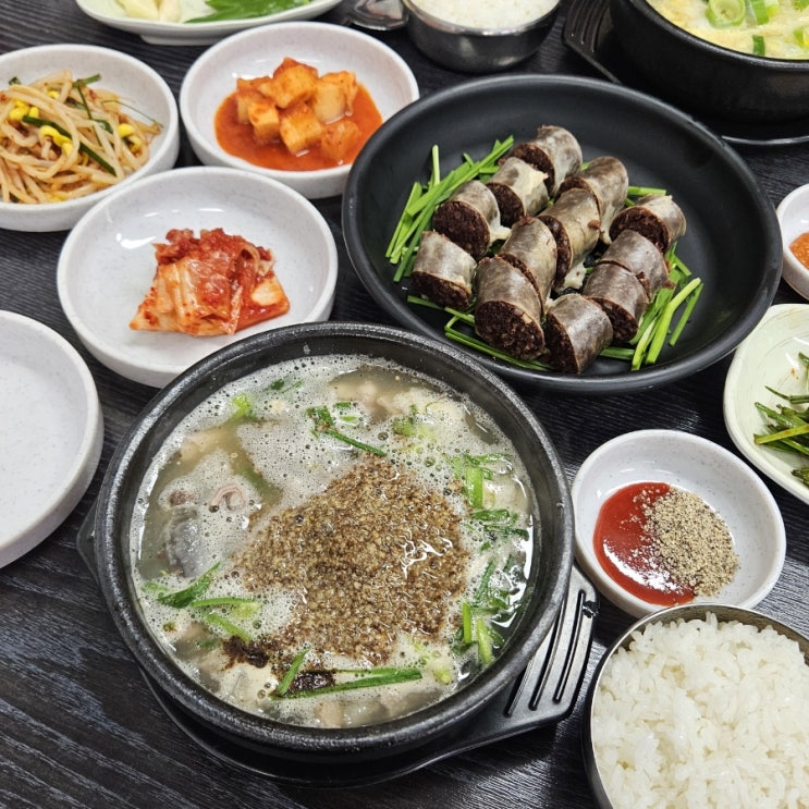 전주 에코시티국밥 '청하순대 송천에코점' 30년 전통 군산 순대국밥 피순대 맛집 오픈